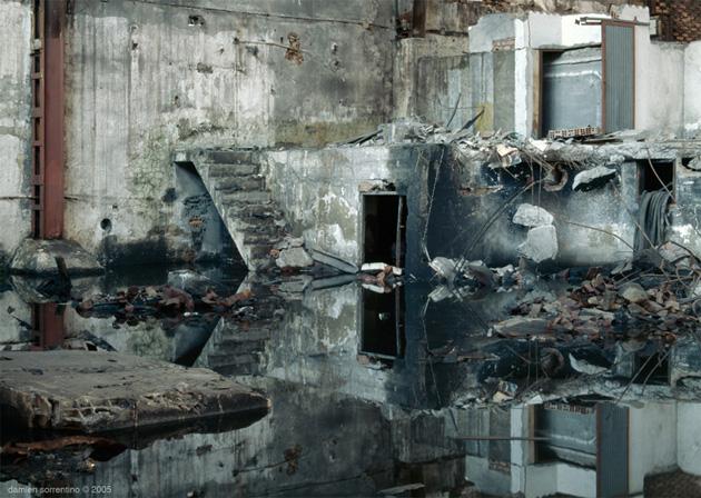 Damien Sorrentino Florentz à la Galerie Bertrand Grimont