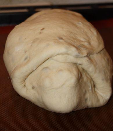 Coquelet Sous le Pain... Coquelet_envelopp__de_pain