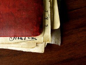 Plumiversaire : impressions diverses.