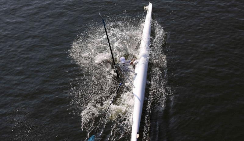 attaque-de-requin-aviron.jpg