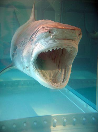 Le poisson d’avril serait-il un maquereau ? damien-hirst.1238522278.JPG