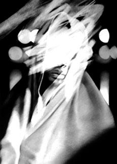 Exposition de Valentin van der MEULEN 