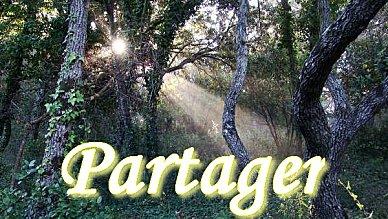 Peopleheart, Mankined heart ( Coeur de l'homme - Coeur de l'humanité) Peopleheart, Mankined heart ( Coeur de l'homme - Coeur de l'humanité)