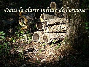 Peopleheart, Mankined heart ( Coeur de l'homme - Coeur de l'humanité) Peopleheart, Mankined heart ( Coeur de l'homme - Coeur de l'humanité)