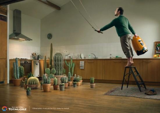 totalgazcactus-550x388 totalgazcactus-550x388