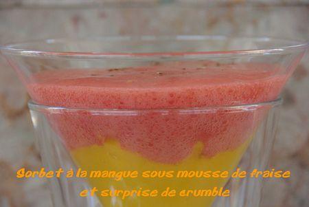 Sorbet___la_mangue_sous_mousse_de_fraise