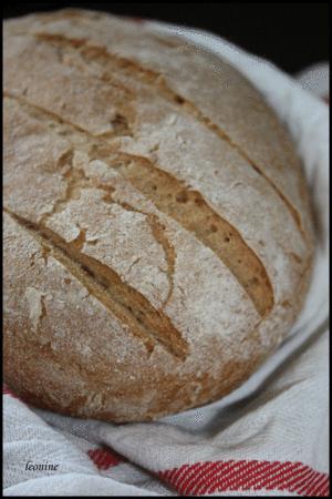 Pain bis sur poolish pain_bise_sur_poolish