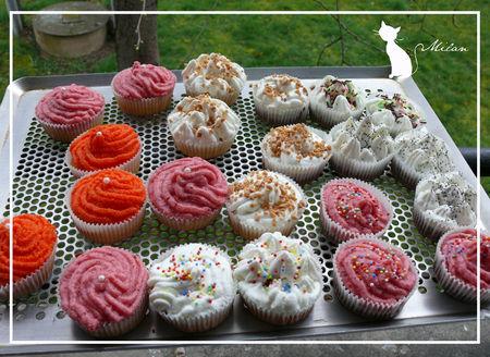Mon entrée dans le monde des cupcakes cupcakes_001_copier