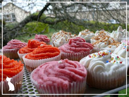 Mon entrée dans le monde des cupcakes cupcakes_006_copier