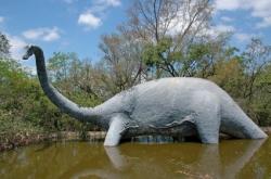 Découverte : les diplodocus devaient garder la tête baissée pour rester en vie diplodocus