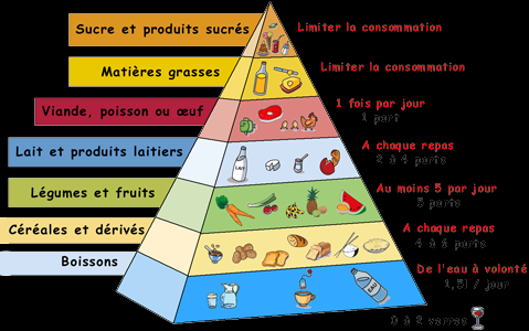 pyramide-alimentaire.png