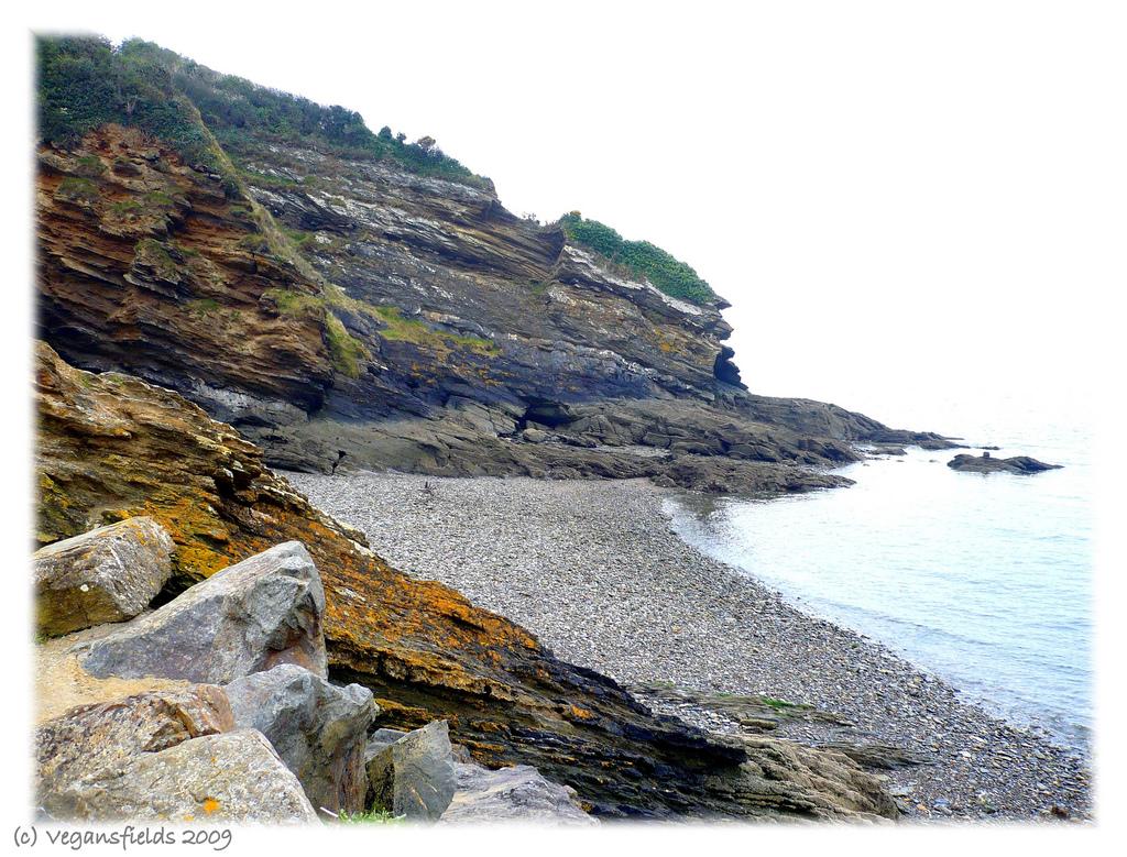 Vegan Chocolate & Sultanas Hot Cross Buns / Briochettes anglaises aux épices (vegan) Vegan Chocolate & Sultanas Hot Cross Buns / Briochettes anglaises aux épices (vegan)