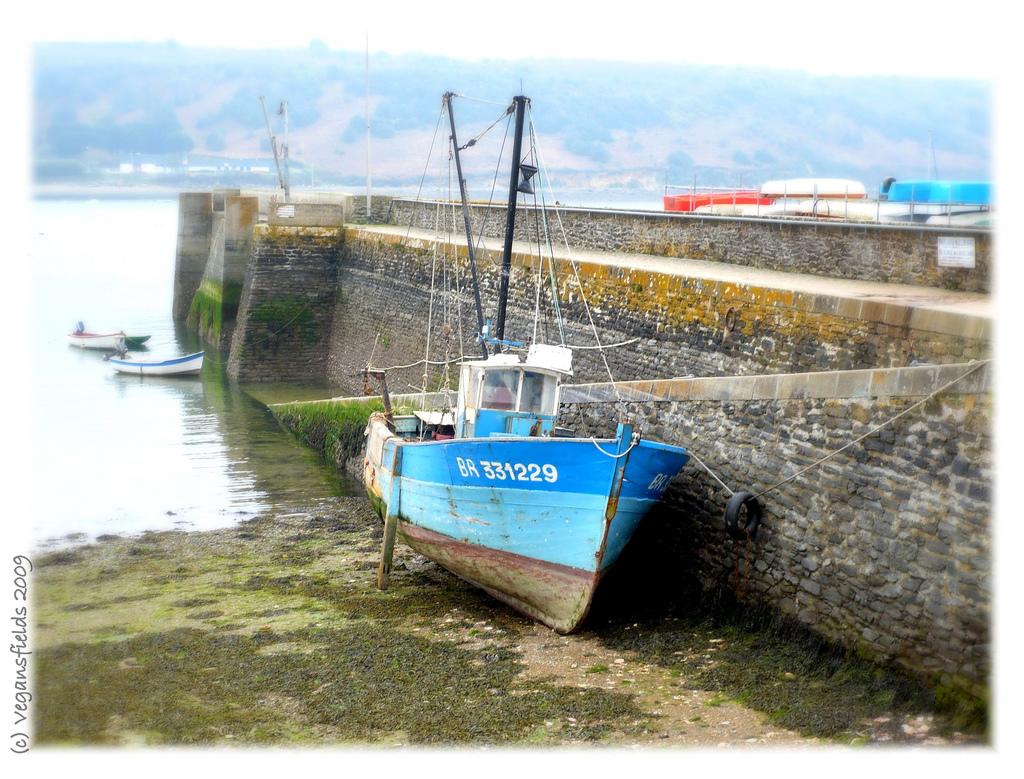 Vegan Chocolate & Sultanas Hot Cross Buns / Briochettes anglaises aux épices (vegan) Vegan Chocolate & Sultanas Hot Cross Buns / Briochettes anglaises aux épices (vegan)