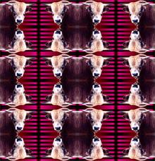 Roméo mosaique Roméo mosaique