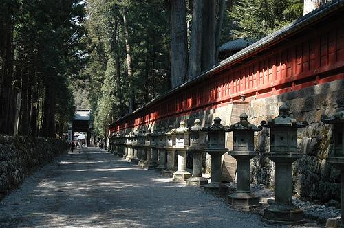 “Tu n’as pas vu Nikko, tu n’as pas vu le beau !” DSC_1162