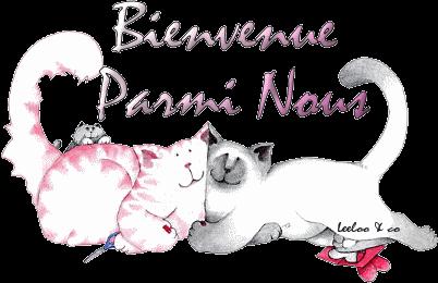 Encore deux nouveaux blogs Encore deux nouveaux blogs