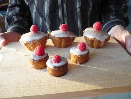 cupcakes_182