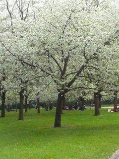 Une après-midi au vert