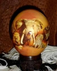 Oeuf d'autruche éléphant, 46,90€ Oeuf d'autruche éléphant, 46,90€