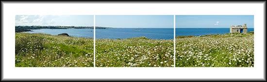 les fleurs sur la dune et le corps de garde de la batterie de Lanildut les fleurs sur la dune et le corps de garde de la batterie de Lanildut