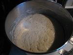 Miche T65 au levain IMG_0715