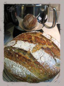 Miche T65 au levain Miche_levain_3