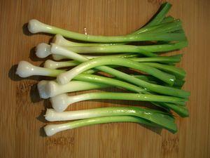 Pavé de mostelle sauté, poêlée de légumes verts croquants et sauce safran... MiniPoireaux2___Copie