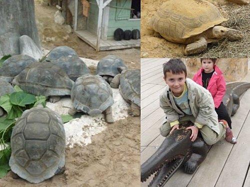 La ferme aux crocodiles !