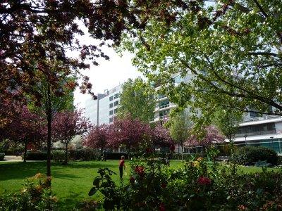 Le printemps dans le square James Joyce (Paris 13e)