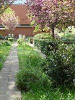 Le printemps dans le square James Joyce (Paris 13e)