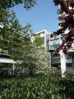 Le printemps dans le square James Joyce (Paris 13e)