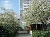 Le printemps dans le square James Joyce (Paris 13e)