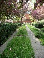 Le printemps dans le square James Joyce (Paris 13e)
