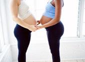La loi Morano, pas de statuts pour les beaux parents gays ! La loi Morano, pas de statuts pour les beaux parents gays !