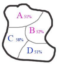 dיcoupage יlectoral