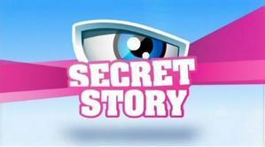 Secret Story : Un cachet de 650.000 euros pour Benjamin Castaldi