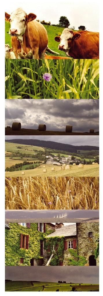 Concours : mon pays, mes origines !