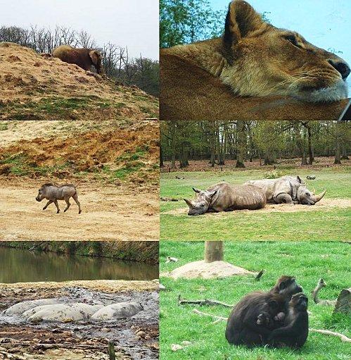 Concours : mon pays, mes origines !