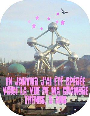 Concours : mon pays, mes origines !