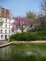 Le printemps dans le parc de Belleville (Paris 20e)
