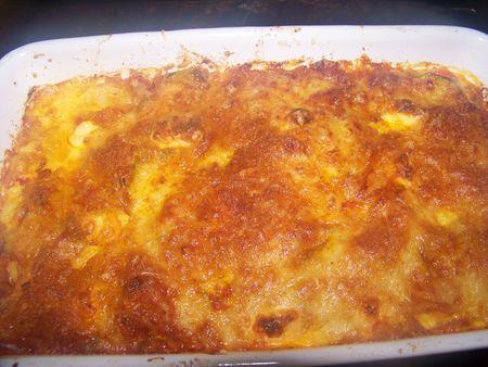 Gratin de legumes a la sauce bolognaise a ma façon! 100_0961
