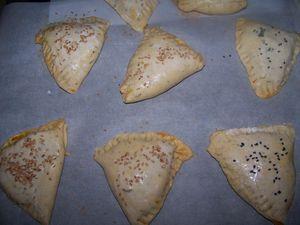 Samosas au legumes a ma façon! 100_0843