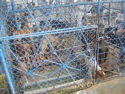 beaucoup de choses à ne pas oublier!!! beaucoup de choses à ne pas oublier!!!