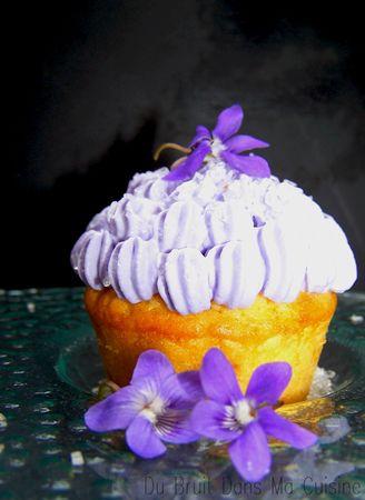Muffins_violette2