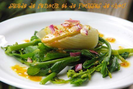 Salade_de_fenouil_et_de_pousses_de_chou