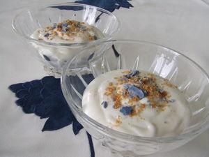 Mousse blanche aux éclats de Quernon d'Ardoise DSCF7387
