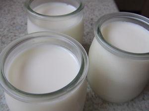 Yaourt à la cardamome DSCF7230