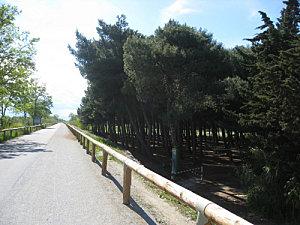 Les voies vertes de l'Agly entre St Laurent et Torreilles