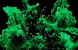 En images : un ver marin au mucus vert phosphorescent identifié par les scientifiques mucus phosphorescent