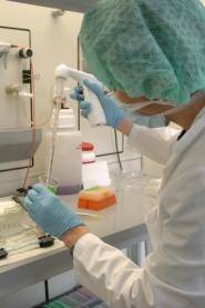 Antibiotiques : la lutte contre les bactéries antibiotique